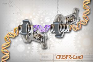 Top 20 Inventions of the Last 10 Years That Shaped the Future 1 CRISPR-Cas9 Gene Editing