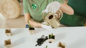 Top 20 Inventions of the Last 10 Years That Shaped the Future 12 Biodegradable Materials